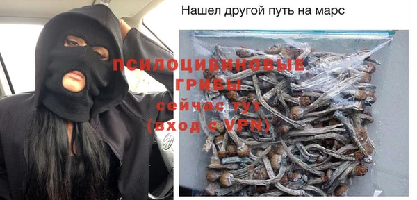 ПСИЛОЦИБИНОВЫЕ ГРИБЫ Алзамай