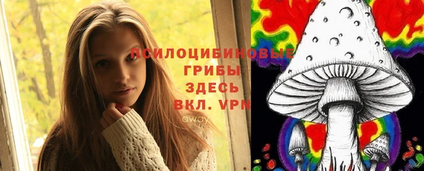 MDMA Premium VHQ Аркадак