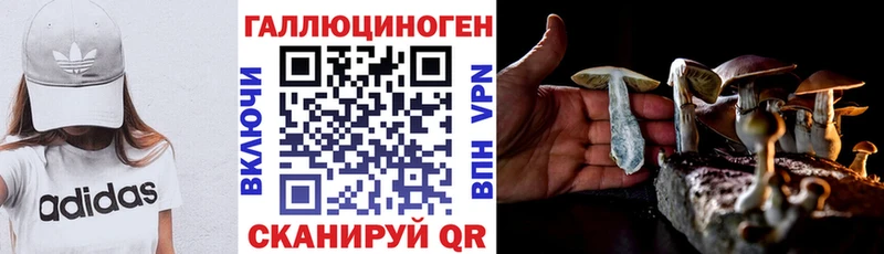 Галлюциногенные грибы прущие грибы  hydra зеркало  Куса 